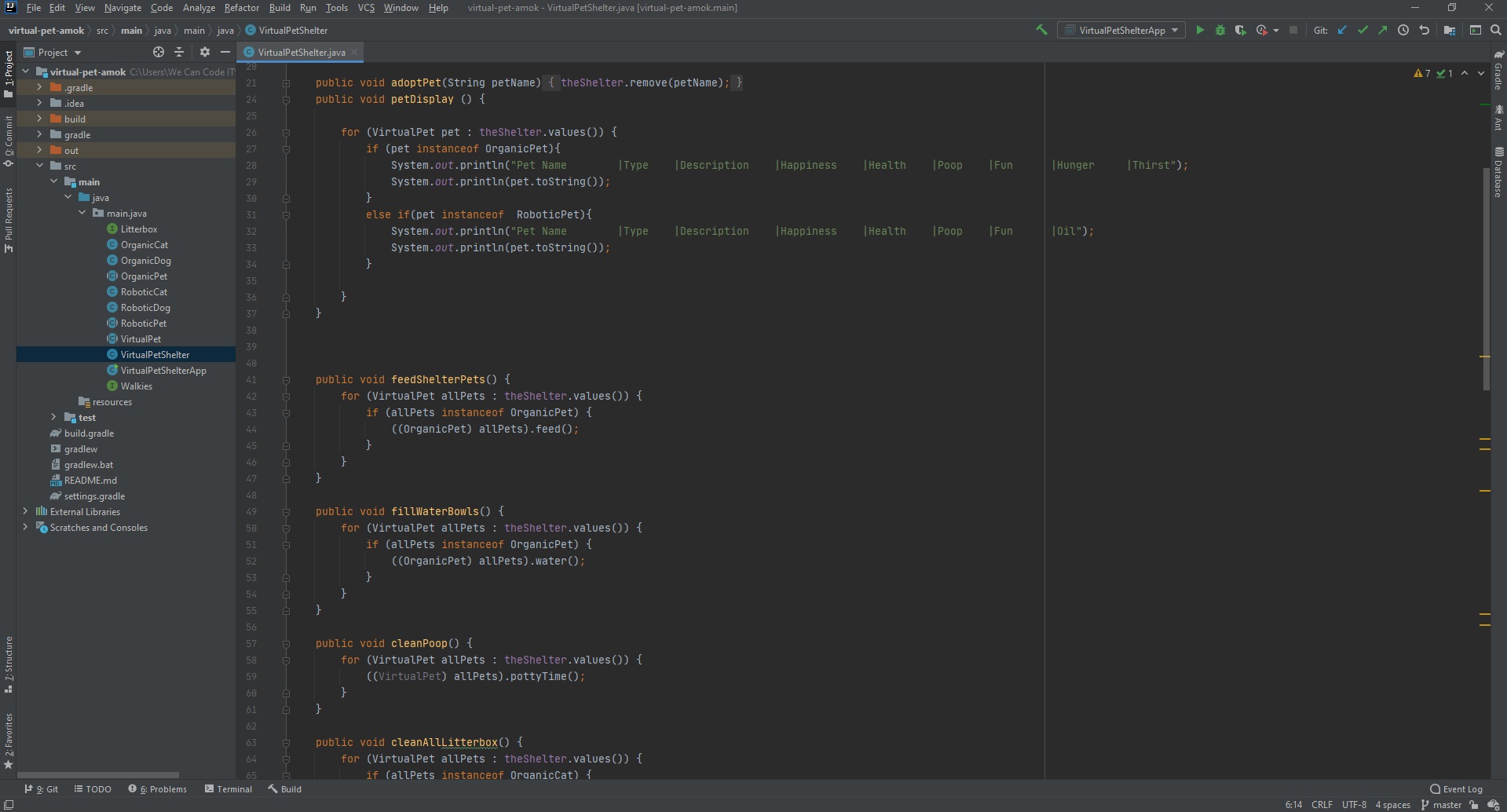 An image of a code class. Features code written to allow for a pet to be adopted or intake